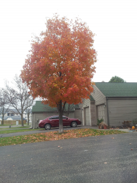 Fall is Here Fall is Here