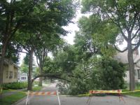 Nature's Destructive Power