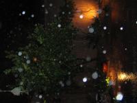 Rain Drops in Midair