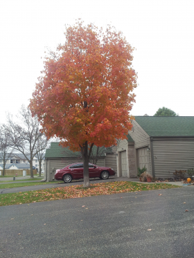 Fall is Here