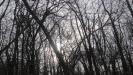 Winter hike